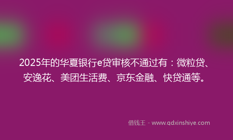 2025年的华夏银行e贷审核不通过有：微粒贷、安逸花、美团生活费、京东金融、快贷通等。