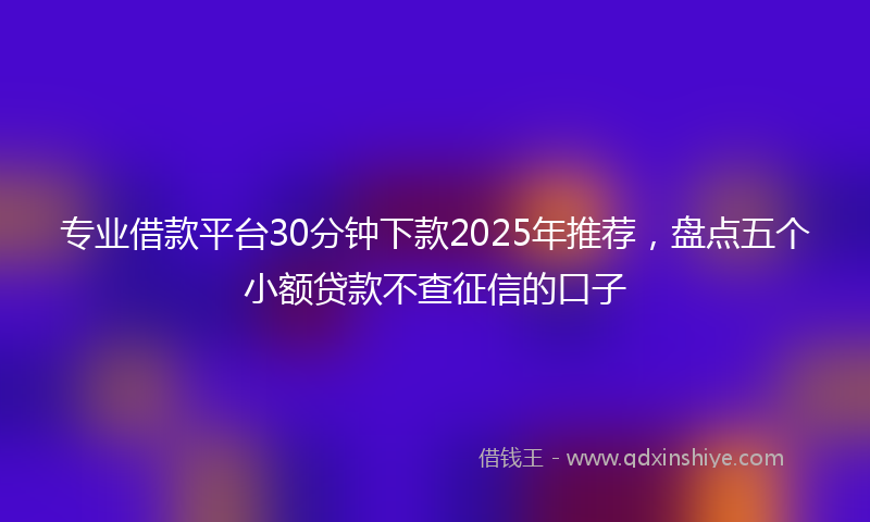 专业借款平台30分钟下款2025年推荐，盘点五个小额贷款不查征信的口子