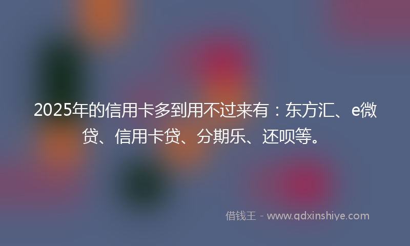 2025年的信用卡多到用不过来有：东方汇、e微贷、信用卡贷、分期乐、还呗等。