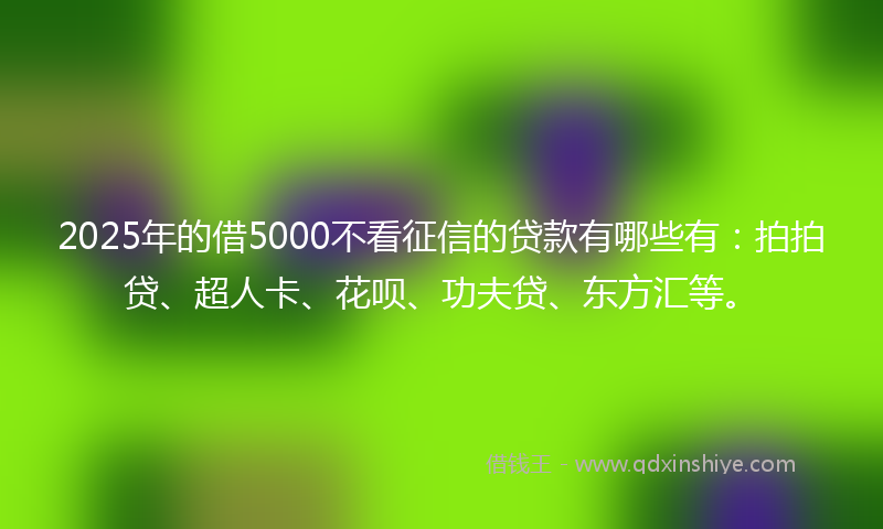 2025年的借5000不看征信的贷款有哪些有：拍拍贷、超人卡、花呗、功夫贷、东方汇等。