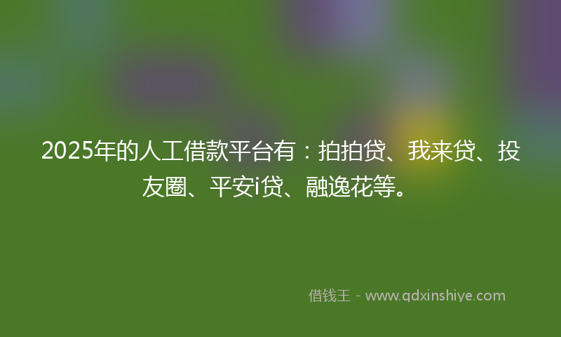 2025年的人工借款平台有：拍拍贷、我来贷、投友圈、平安i贷、融逸花等。