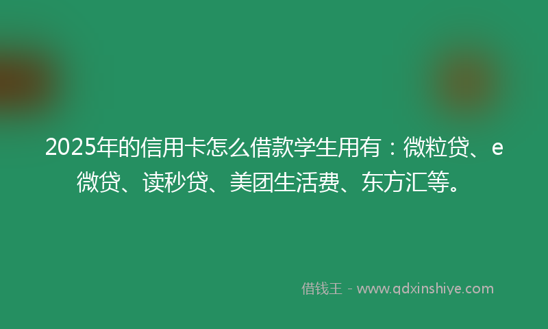 2025年的信用卡怎么借款学生用有：微粒贷、e微贷、读秒贷、美团生活费、东方汇等。