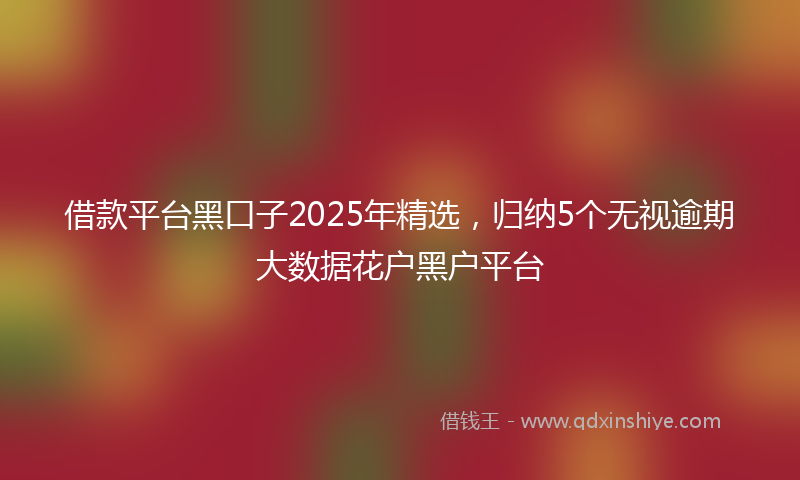 借款平台黑口子2025年精选，归纳5个无视逾期大数据花户黑户平台