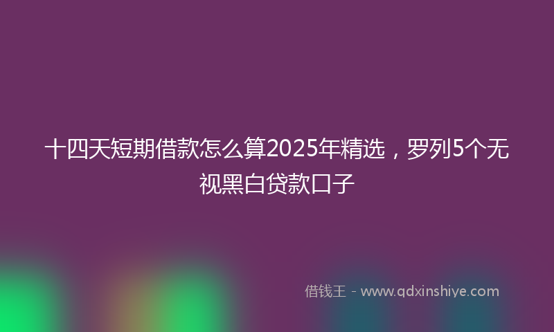十四天短期借款怎么算2025年精选，罗列5个无视黑白贷款口子
