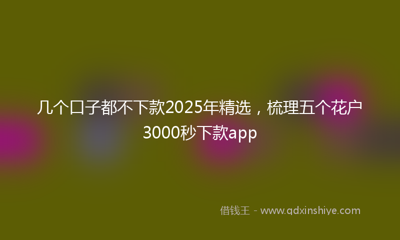 几个口子都不下款2025年精选，梳理五个花户3000秒下款app