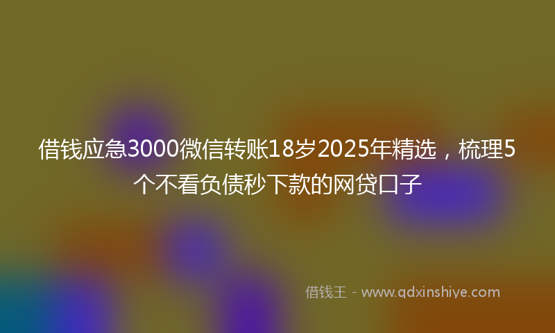 借钱应急3000微信转账18岁2025年精选，梳理5个不看负债秒下款的网贷口子