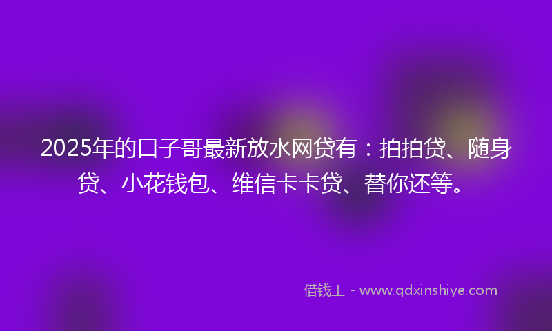 2025年的口子哥最新放水网贷有：拍拍贷、随身贷、小花钱包、维信卡卡贷、替你还等。