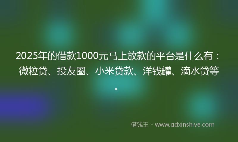 2025年的借款1000元马上放款的平台是什么有：微粒贷、投友圈、小米贷款、洋钱罐、滴水贷等。