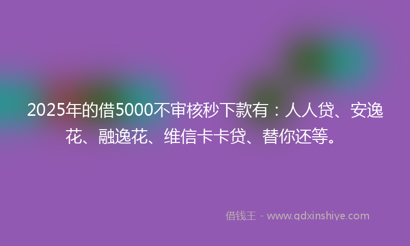 2025年的借5000不审核秒下款有：人人贷、安逸花、融逸花、维信卡卡贷、替你还等。
