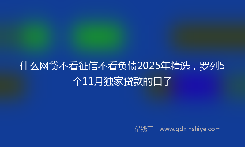 什么网贷不看征信不看负债2025年精选，罗列5个11月独家贷款的口子