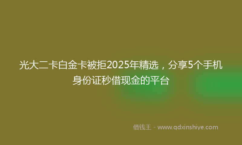 光大二卡白金卡被拒2025年精选，分享5个手机身份证秒借现金的平台
