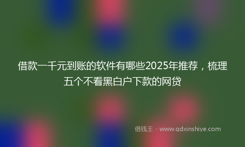 借款一千元到账的软件有哪些2025年推荐，梳理五个不看黑白户下款的网贷