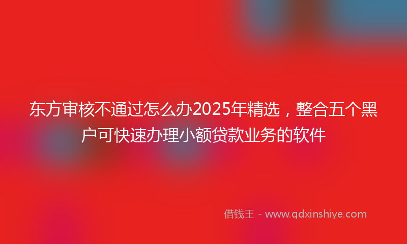 东方审核不通过怎么办2025年精选，整合五个黑户可快速办理小额贷款业务的软件