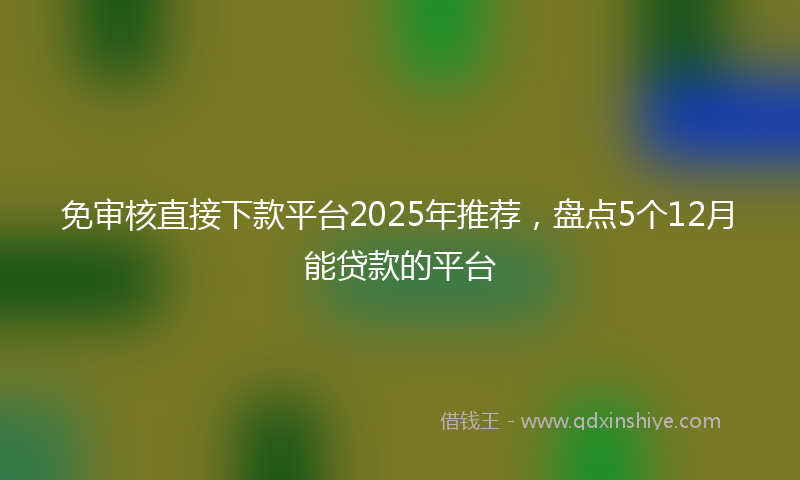 免审核直接下款平台2025年推荐，盘点5个12月能贷款的平台