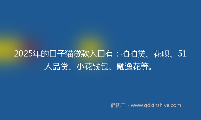 2025年的口子猫贷款入口有：拍拍贷、花呗、51人品贷、小花钱包、融逸花等。