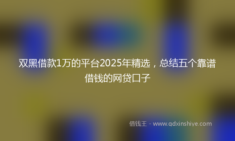 双黑借款1万的平台2025年精选，总结五个靠谱借钱的网贷口子