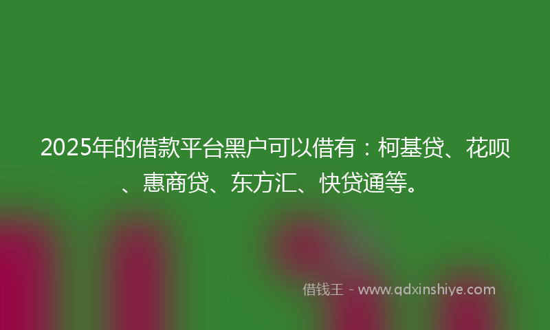 2025年的借款平台黑户可以借有：柯基贷、花呗、惠商贷、东方汇、快贷通等。