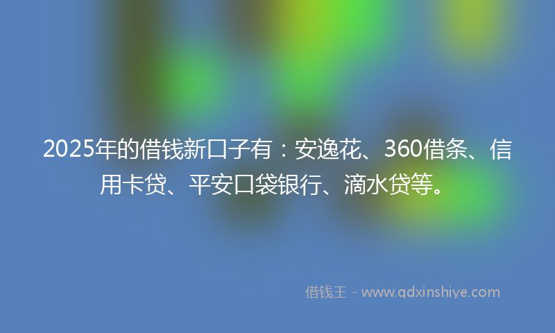2025年的借钱新口子有：安逸花、360借条、信用卡贷、平安口袋银行、滴水贷等。