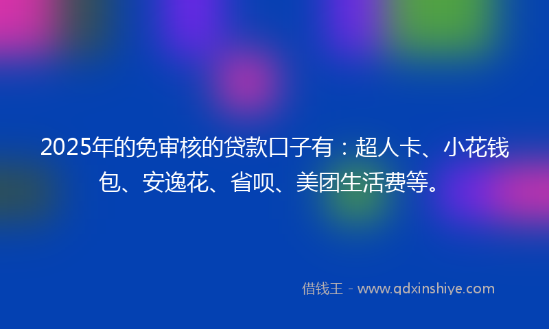 2025年的免审核的贷款口子有：超人卡、小花钱包、安逸花、省呗、美团生活费等。