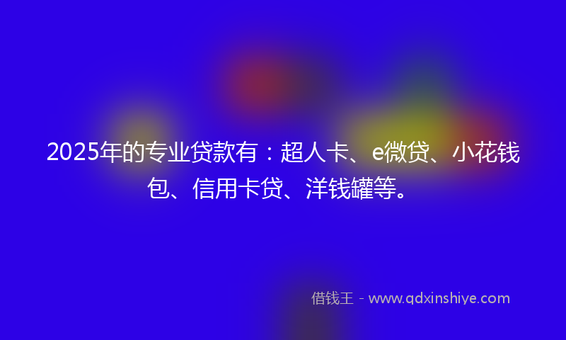 2025年的专业贷款有：超人卡、e微贷、小花钱包、信用卡贷、洋钱罐等。