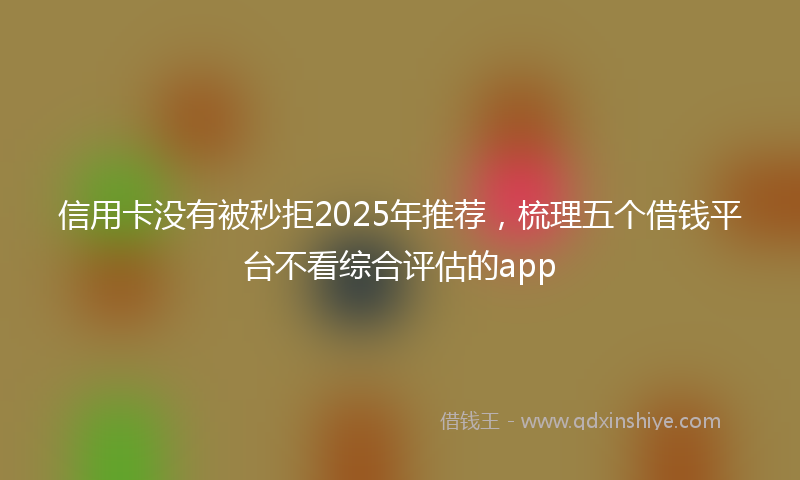 信用卡没有被秒拒2025年推荐，梳理五个借钱平台不看综合评估的app
