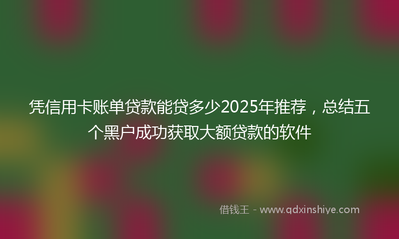 凭信用卡账单贷款能贷多少2025年推荐，总结五个黑户成功获取大额贷款的软件