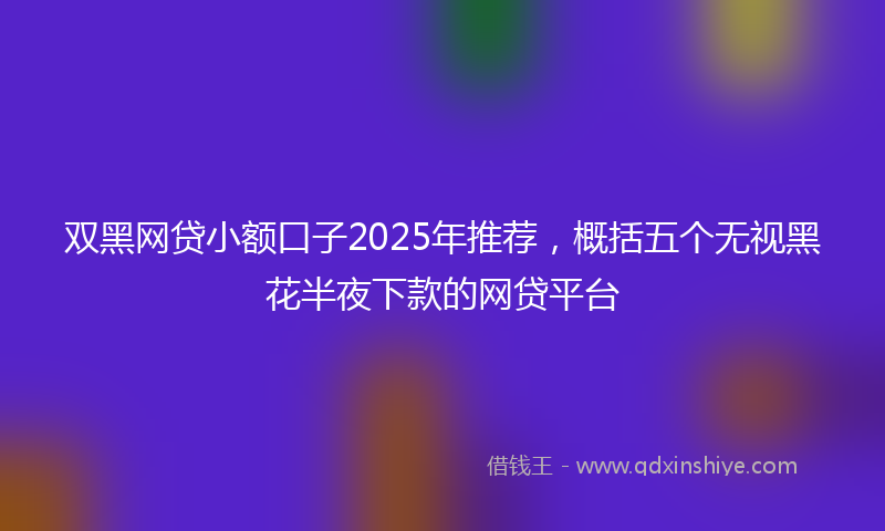 双黑网贷小额口子2025年推荐，概括五个无视黑花半夜下款的网贷平台