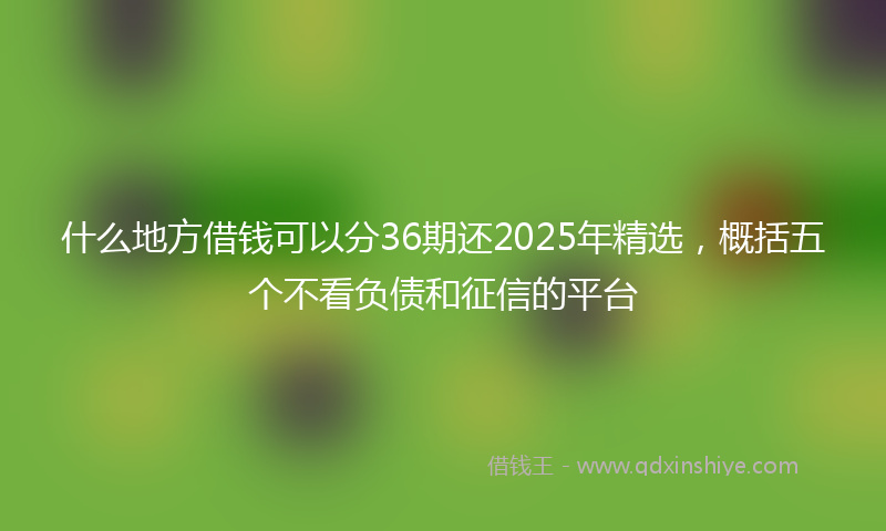 什么地方借钱可以分36期还2025年精选，概括五个不看负债和征信的平台