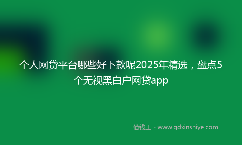 个人网贷平台哪些好下款呢2025年精选，盘点5个无视黑白户网贷app
