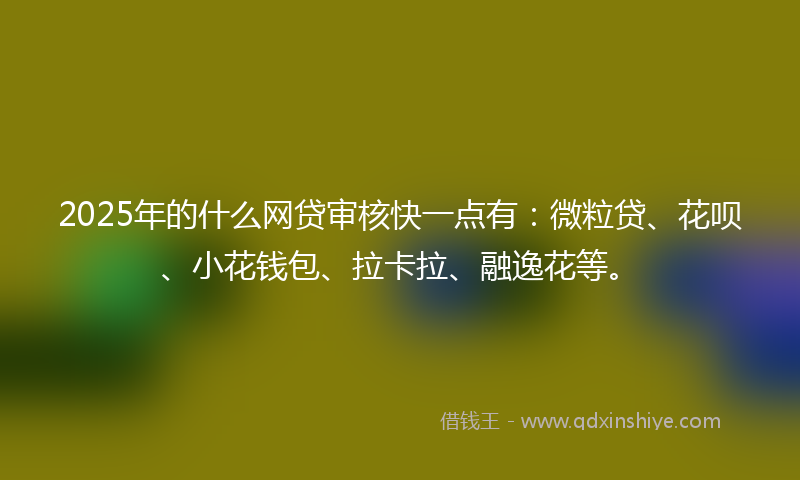 2025年的什么网贷审核快一点有：微粒贷、花呗、小花钱包、拉卡拉、融逸花等。