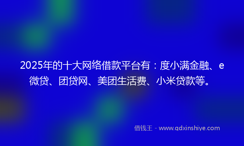 2025年的十大网络借款平台有：度小满金融、e微贷、团贷网、美团生活费、小米贷款等。