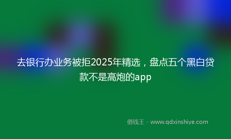 去银行办业务被拒2025年精选，盘点五个黑白贷款不是高炮的app