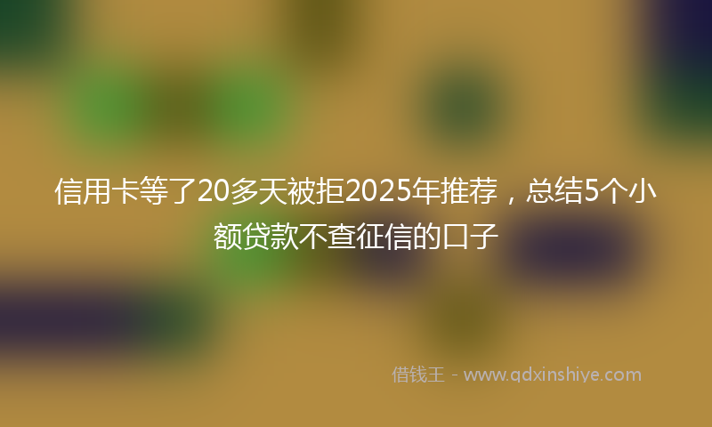信用卡等了20多天被拒2025年推荐，总结5个小额贷款不查征信的口子
