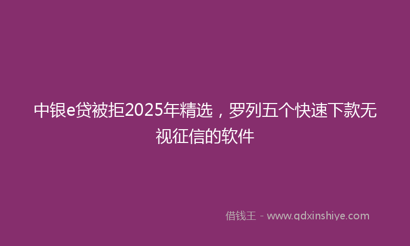 中银e贷被拒2025年精选，罗列五个快速下款无视征信的软件