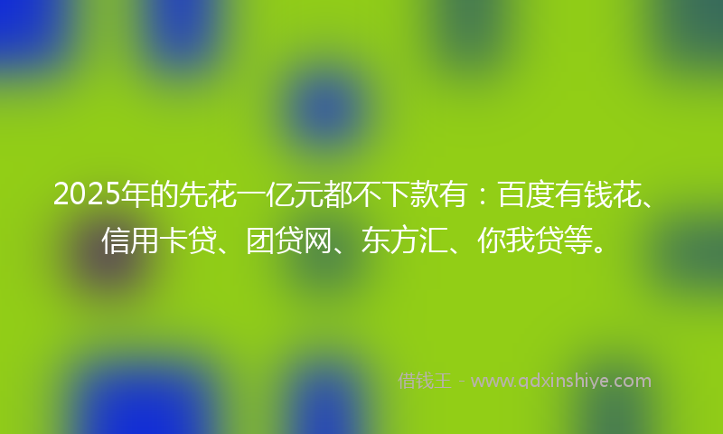 2025年的先花一亿元都不下款有：百度有钱花、信用卡贷、团贷网、东方汇、你我贷等。