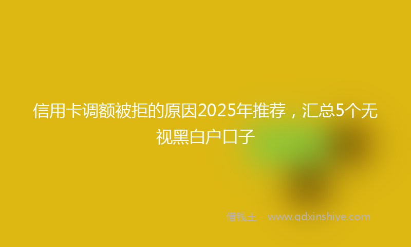 信用卡调额被拒的原因2025年推荐，汇总5个无视黑白户口子