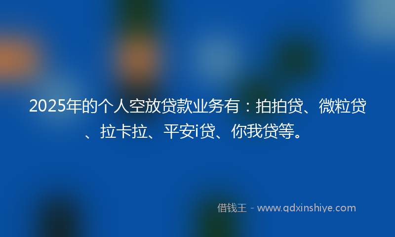 2025年的个人空放贷款业务有：拍拍贷、微粒贷、拉卡拉、平安i贷、你我贷等。