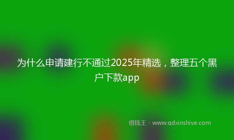为什么申请建行不通过2025年精选,整理五个黑户下款app