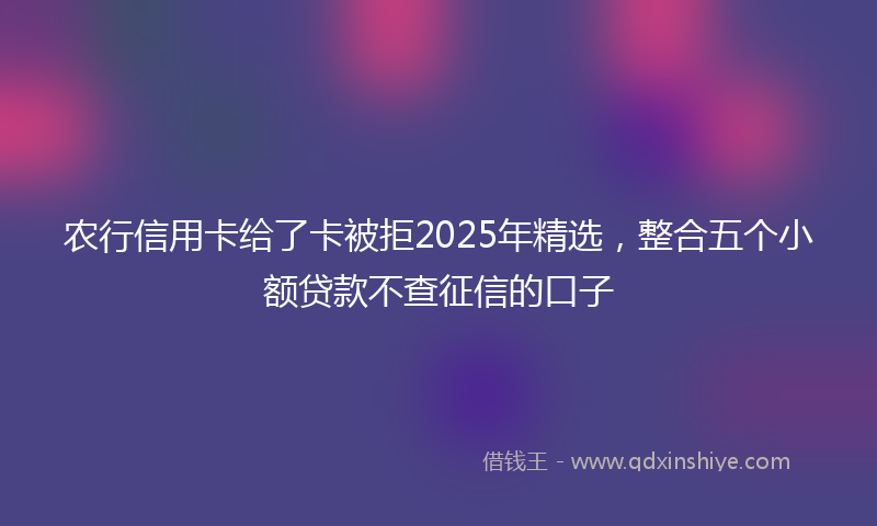 农行信用卡给了卡被拒2025年精选，整合五个小额贷款不查征信的口子