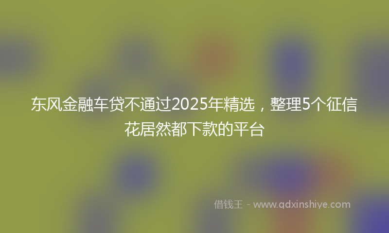 东风金融车贷不通过2025年精选，整理5个征信花居然都下款的平台