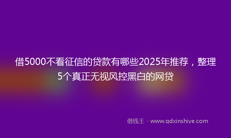 借5000不看征信的贷款有哪些2025年推荐，整理5个真正无视风控黑白的网贷