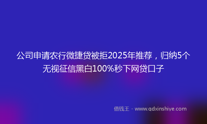 公司申请农行微捷贷被拒2025年推荐，归纳5个无视征信黑白100%秒下网贷口子