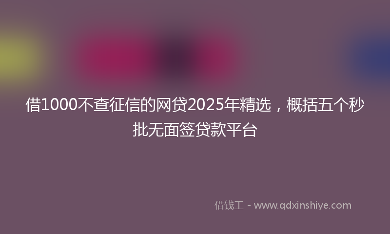 借1000不查征信的网贷2025年精选，概括五个秒批无面签贷款平台
