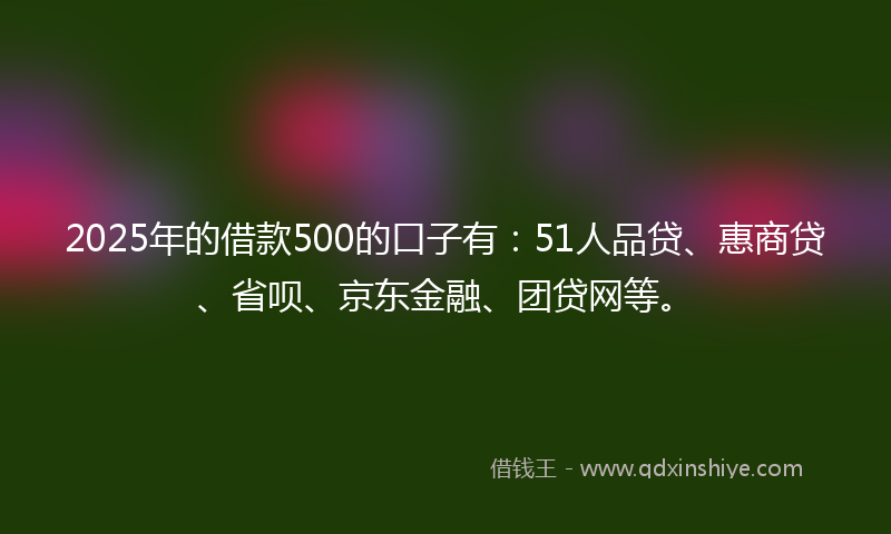 2025年的借款500的口子有：51人品贷、惠商贷、省呗、京东金融、团贷网等。