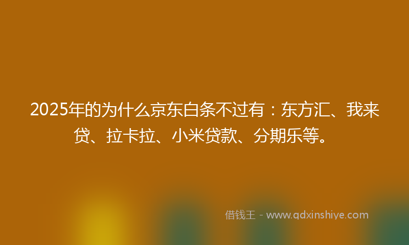 2025年的为什么京东白条不过有：东方汇、我来贷、拉卡拉、小米贷款、分期乐等。