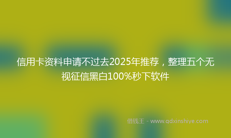 信用卡资料申请不过去2025年推荐，整理五个无视征信黑白100%秒下软件