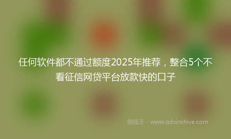 任何软件都不通过额度2025年推荐，整合5个不看征信网贷平台放款快的口子