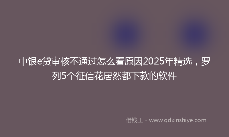 中银e贷审核不通过怎么看原因2025年精选，罗列5个征信花居然都下款的软件