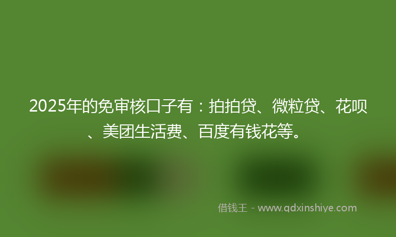 2025年的免审核口子有：拍拍贷、微粒贷、花呗、美团生活费、百度有钱花等。