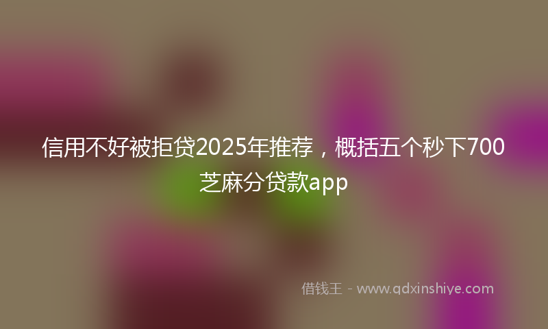 信用不好被拒贷2025年推荐，概括五个秒下700芝麻分贷款app